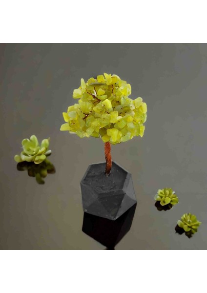 Olivin Jade Doğaltaş Ağacı