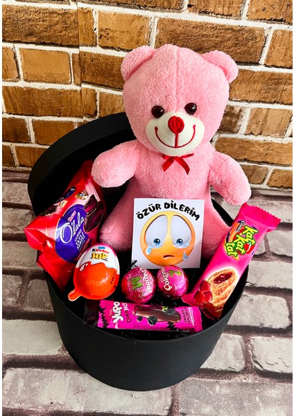 Pembe Temalı Özür Dilerim Hediye Kutusu fiyatları