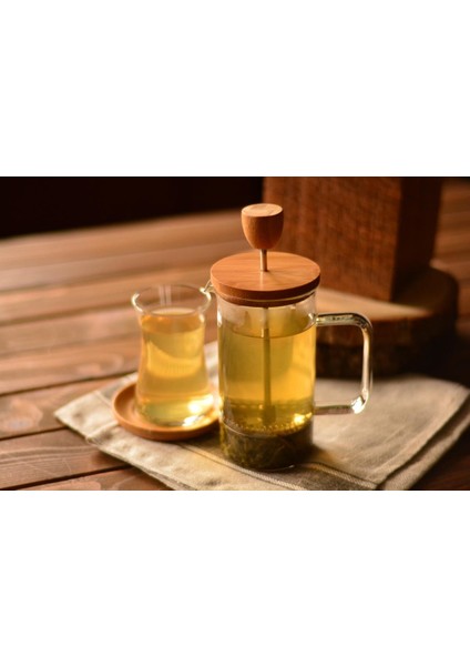 Senza French Press 600 Ml 9131 fiyatları