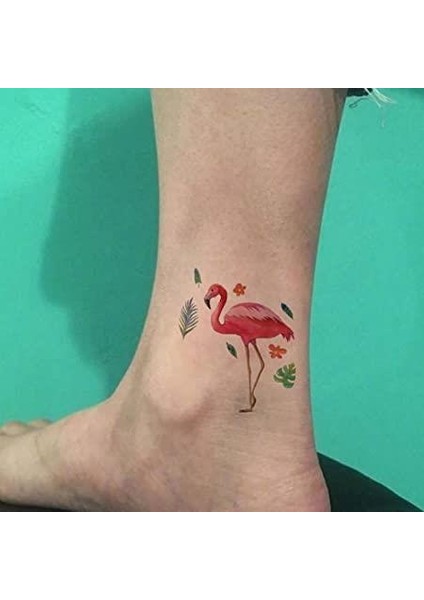 Geçici Papağan Hayvan Dövme Tattoo Su Geçirmez