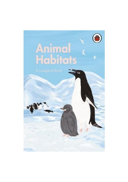 A  Book: Animal Habitats