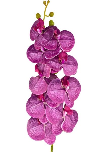 Yapay Çiçek Fuşya Damarlı Islak Orkide Uzun Dal 90 cm Orkide