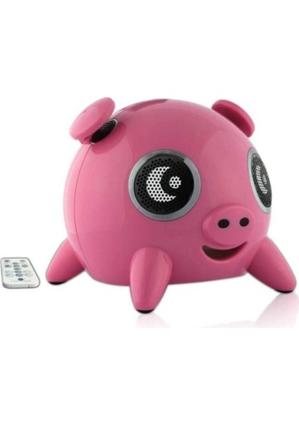 S-3 Pıg Ses Sistemi