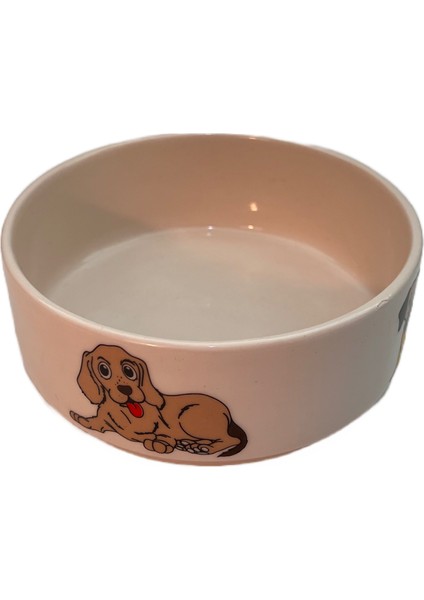 Köpek Mama ve Su Kabı