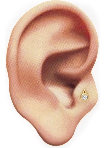 Safderun Takı Tragus Helix Piercing