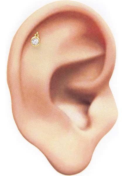 Safderun Takı Tragus Helix Piercing