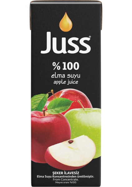 %100 ELMA SUYU 200 ML SLİM