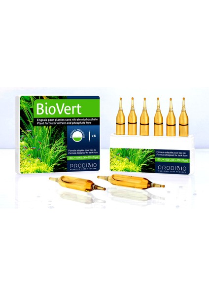 Bio Vert 6 Ampül