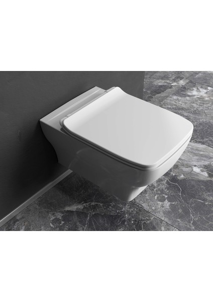 Petra Asma Klozet Rımless Delikli Beyaz + Dura Petra Yavaş Kapanan Klozet Kapağı Beyaz fiyatları