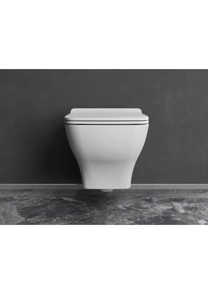 Petra Asma Klozet Rımless Delikli Beyaz + Dura Petra Yavaş Kapanan Klozet Kapağı Beyaz modelleri