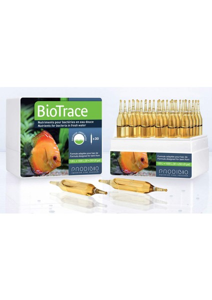 Biotrace 6 Ampül