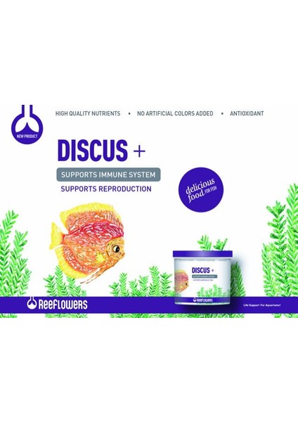 Discus+ Kova 4360 gr