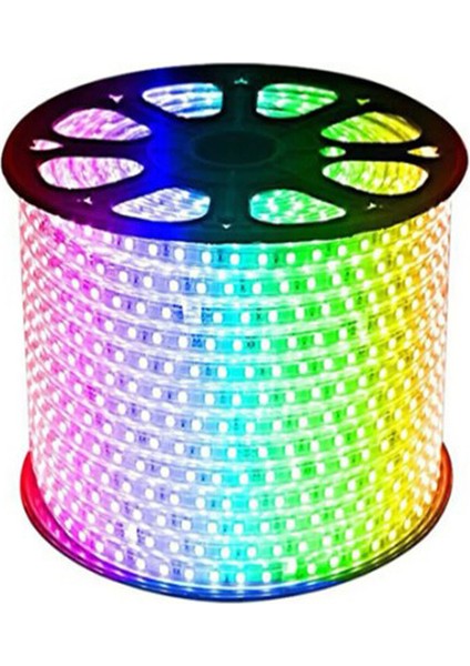 Rgb Hortum Esnek Şerit LED  + 220V FIŞ/1,2,3,4,5,10,15,20,25,50,100 Metre