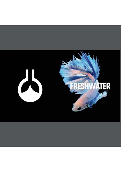 Salt American 5500 ml fiyatları