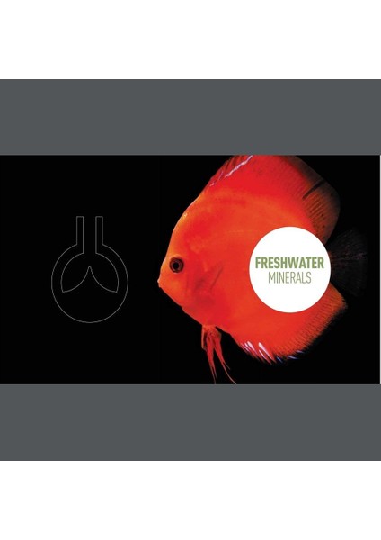 Salt American 5500 ml modelleri