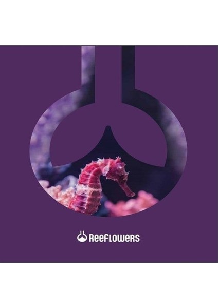 Salt American 5500 ml fırsatları