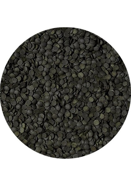 Spirulina Super Forte Chips Kovadan Bölme 1000 gr