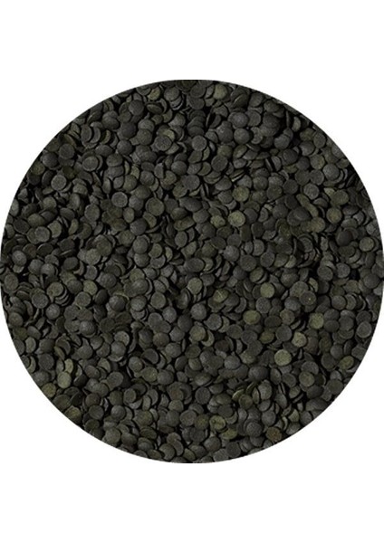 Spirulina Super Forte Chips Kovadan Bölme 100 gr fiyatları