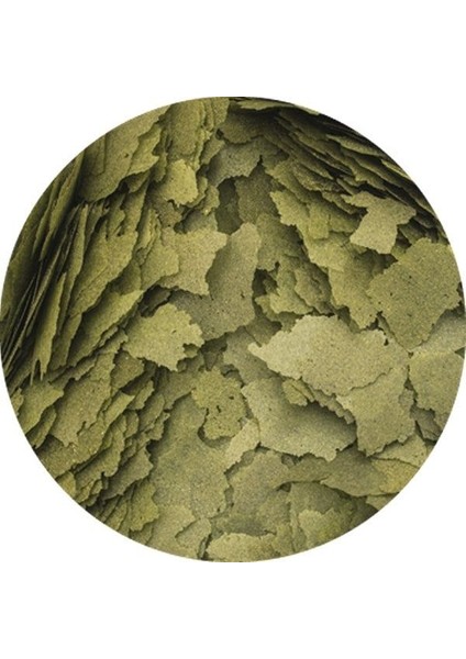 3 Algea Flakes Kovadan Bölme 100 gr