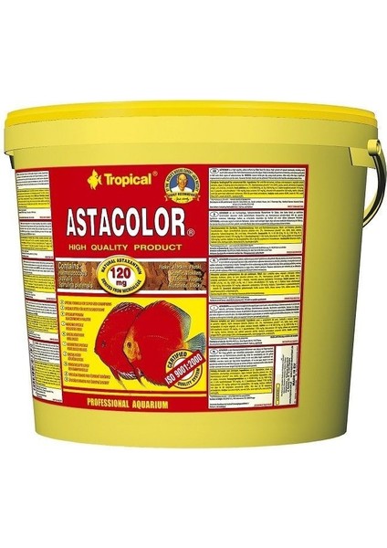 Asta Color Flakes Kovadan Bölme 1000 gr