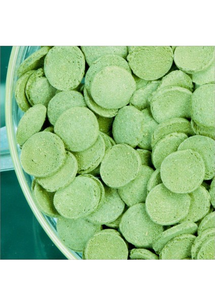 Spirulina Wafers Kovadan Bölme 500 gr