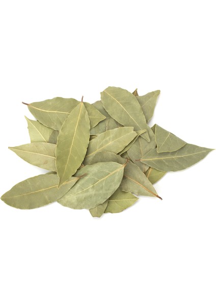 Organik Defne Yaprağı 250G fiyatları