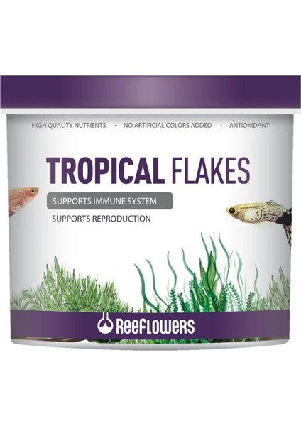 Reeflowers Tropical Flake Kovadan Bölme 100 gr