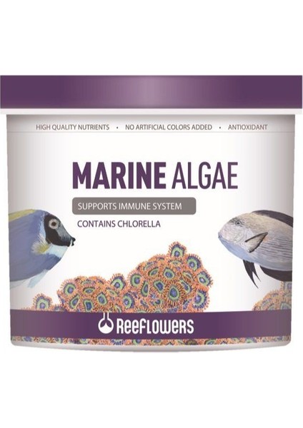 Marine Algae Kovadan Bölme 100 gr