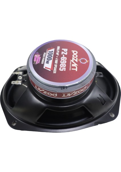 Audio Systems PZ6985 1000 Watt Oval Tweeterli 4 Yollu 2 Adet Oto Hoparlör