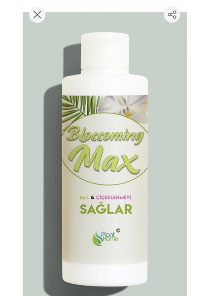 Plant Home Blossomingmax Dal ve Çiçeklenmeyi Sağlayan Güçlü Besin 100 ml