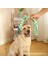 Isırmaya Dayanıklı Düğüm Halat Çekme Interaktif Molar Köpek Pamuk Ipi (Yurt Dışından) 3