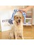 Isırmaya Dayanıklı Düğüm Halat Çekme Interaktif Molar Köpek Pamuk Ipi (Yurt Dışından) 4