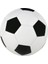 Yetişkin Ilk ve Ortaokul Öğrencilerine Özel Futbol Antrenman Maçı (Yurt Dışından) 1