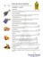 Aromatherapy Lavender Multi Use Oil Lavanta Yüz Saç Tırnak & Vücut Bakım Kuru Yağ 100 ml 4