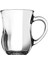 55383 Gurme Kulplu Ayran Bard. 3