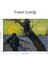 Vincent Van Gogh Hans Liebau Laptop Sticker Kaplama 2