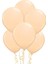 Pastel Ten Rengi Balon 1