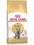 British Shorthair Kedi Maması 2 kg 1
