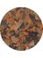 Tanganyika Flake Kovadan Bölme 100 gr 2