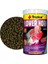Flower Horn Adult Kovadan Bölme 100 gr 1