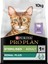 Proplan Pro Plan Renal Plus Hindili Kısırlaştırılmış Kedi Maması 10 kg 1