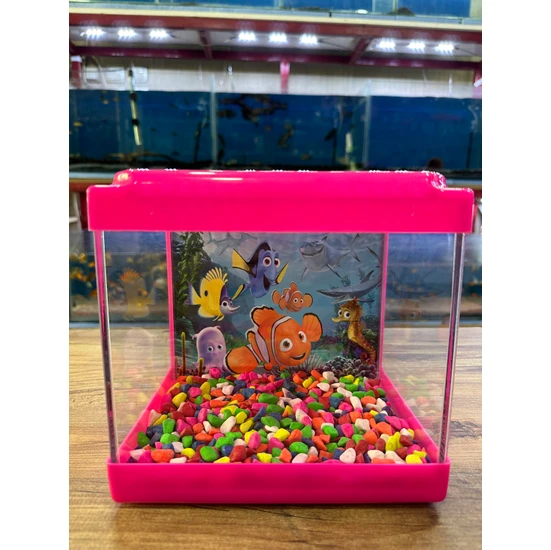 Ertargın Shop Pembe Kare Mini Akvaryum 20X20X15