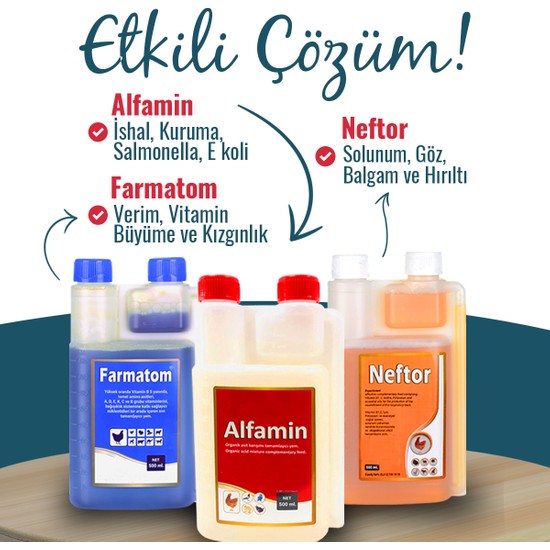 Munich Vet Kuşlar İçin 500 ml Farmatom Vitamin Seti İshal ve Hirilti İçin Alfamin Neftor