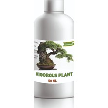 BK Commerce Vigorous Plant Bonsai Besini Vitamini - Konsantre Sıvı Bitki Besini 50 ml