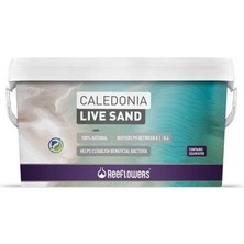 ReeFlowers Caledonia Live Sand 9 kg Gold