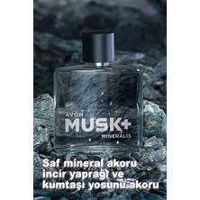 Avon Musk+ Freeze ve Mineralis Erkek Parfüm Paketi