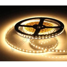 4040 Gün Işığı Şerit LED Iç Mekan - 5 Metre