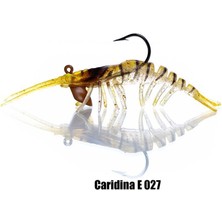 Pandora Caridina E027