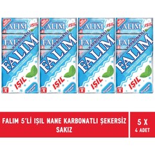 Falım Işıl Nane Karbonat Aromalı Şekersiz Sakız 5'li Paket - 4 Adet