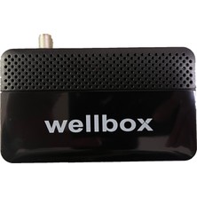 Wellbox 5200 Mini Hd Uydu Alıcısı